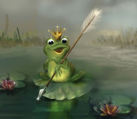 Болота с лягушками