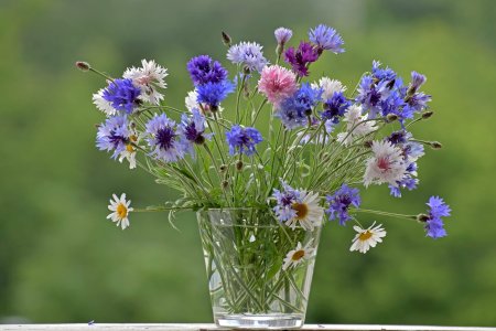 Полевые цветы Бунина