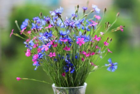 Ромашки колокольчики васильки луговые