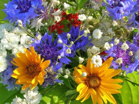 Летний букет