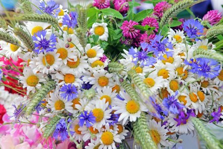 Большой букет полевых цветов