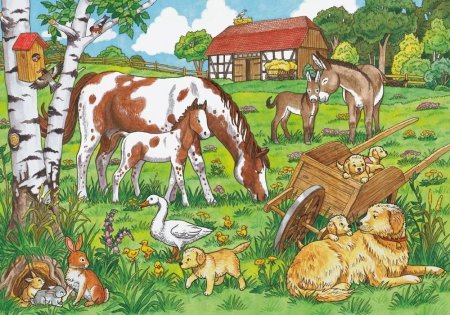 Домашние животные в деревне