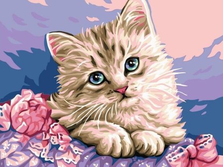 Рисование по номерам котенок