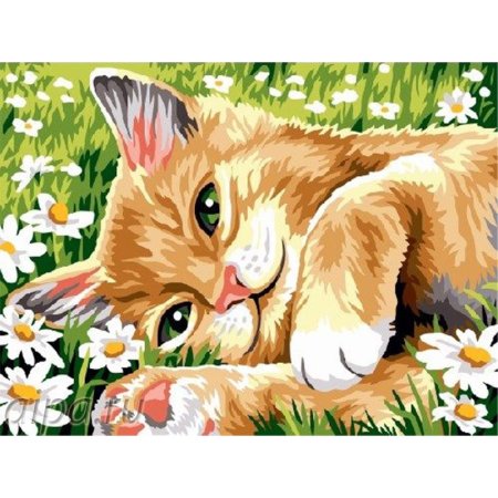 Рыжий котенок в ромашках