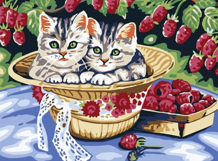 Рисование по номерам котенок