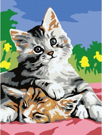 Рисование по номерам кошка