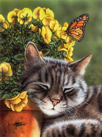 Рисование по номерам кошка