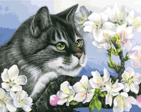 Картины Ирины Гармашовой коты