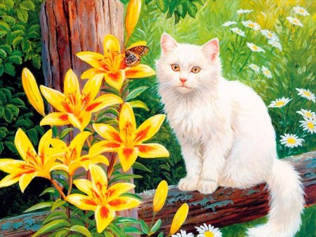 Кошки Персис Клейтон