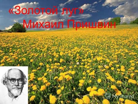 Иллюстрация к рассказу м Пришвина золотой луг