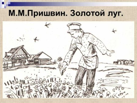 Иллюстрация к произведению Пришвина золотой луг