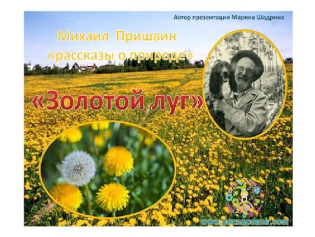 Книга Пришвина золотой луг