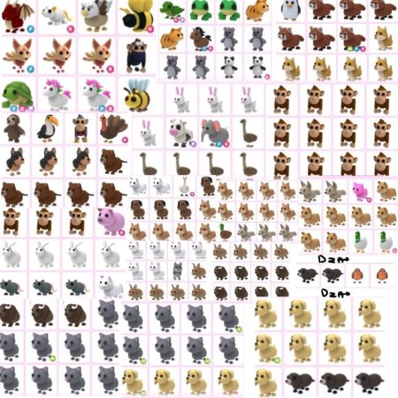 Петы из адопт