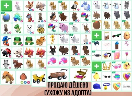 Иконки петов в адопт ми