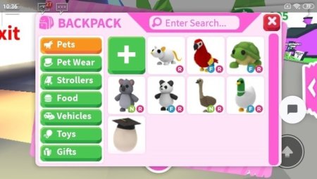 Инвентарь КРУТЫХ петов в адопт