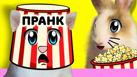 Кролик Баффи а ну ка давайка