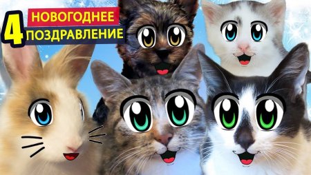 Кот малыш и Мурка
