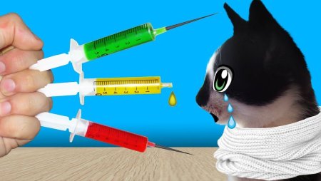 Анука давайка уколы