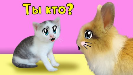 Кролик Баффи а ну ка давайка