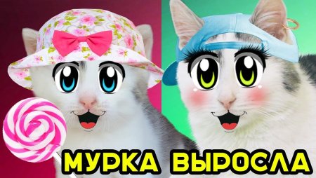 ЛОЛ Баффи Анука давайка