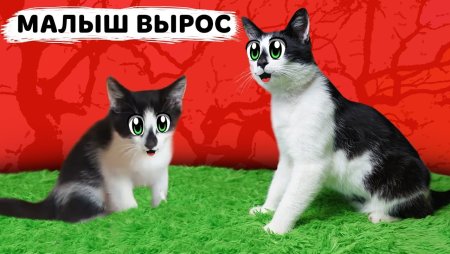 А ну ка давайка Баффи и малыш