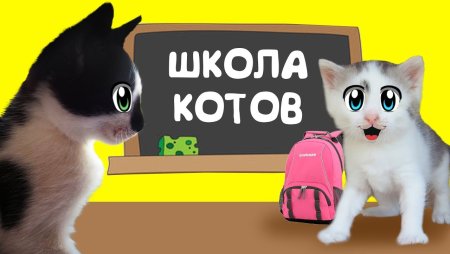 А ну-ка давай-ка