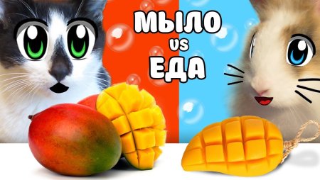 Кот малыш и кролик Баффи