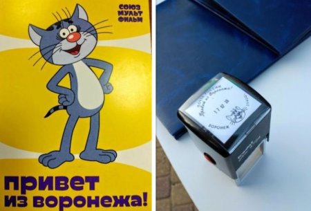 Котенок с улицы Лизюкова