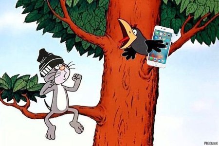 Котёнок с улицы Лизюкова мультфильм
