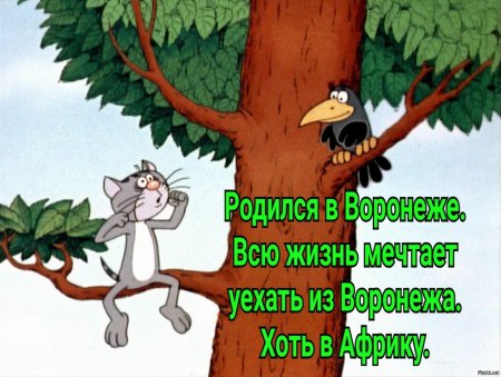 Котёнок с улицы Лизюкова мультфильм