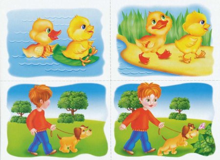 История картинки