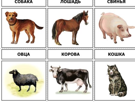 Ljvfiybtживотные для детей