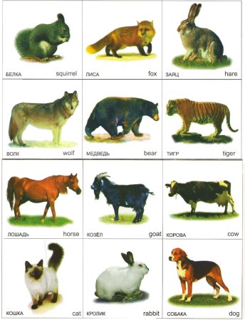 Игра домашние животные Детеныши лото