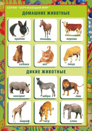 Дикиедомашних животные