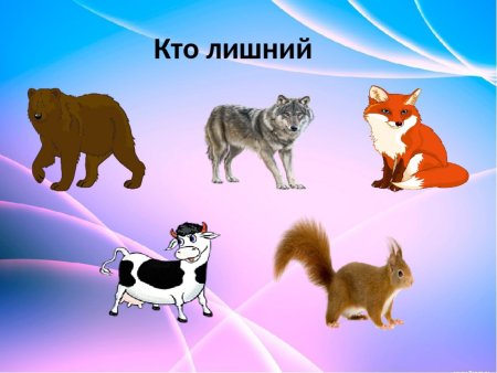 Кто лишний животные