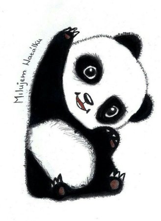 Рисунки панды прикольные