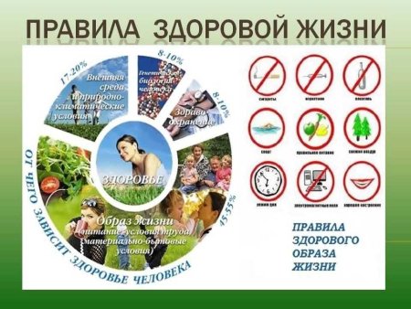 Правила здорового образа жизни для школьников