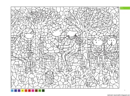 Раскраски по номерам сложные