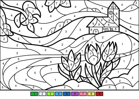 Раскраска по номерам