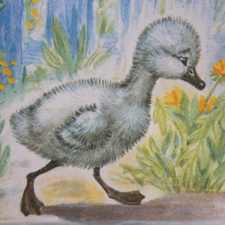 Гадкий утенок андерсог