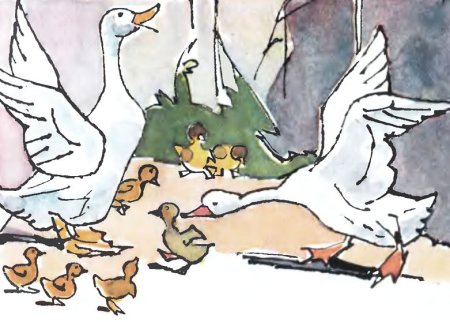 Гадкий утенок иллюстрации Алфеевского