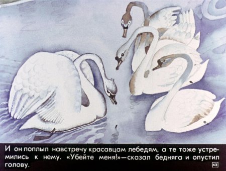 Андерсен Гадкий утенок стал лебедем