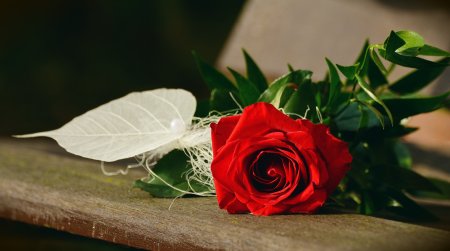 С днем рождения любимая тетя