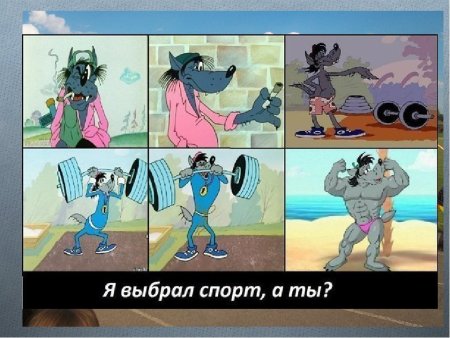 Ну погоди волк спорт