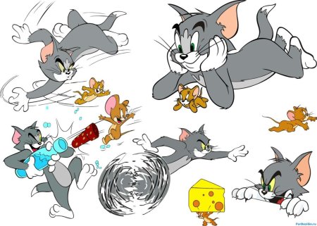 Герои Тома и Джерри