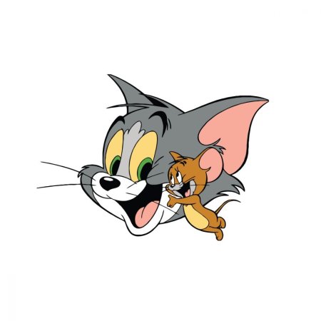 Tom and Jerry show