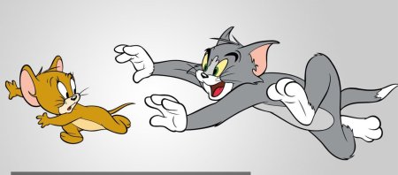 Кот гонится за мышью