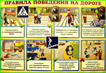 Правила поведения на до