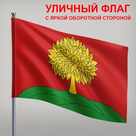 Флаг города Липецка