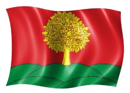 Герб и флаг Липецка